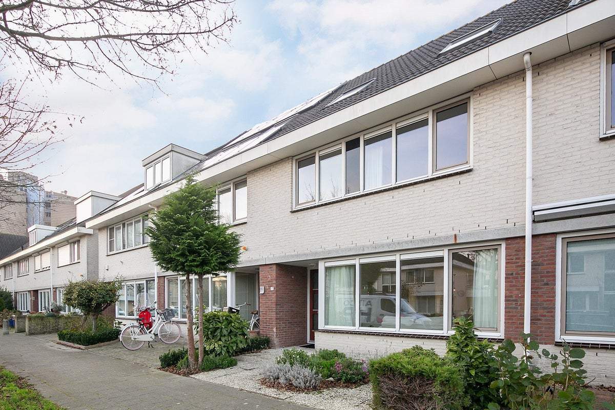 Afbeelding 1 van 31