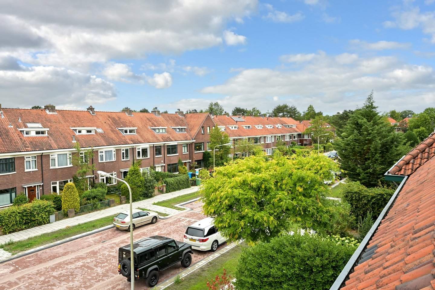 Afbeelding 2 van 12