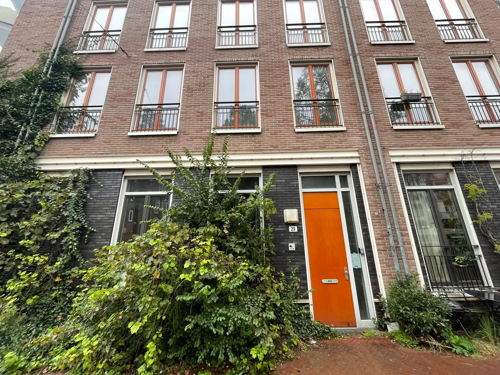 Image 1 of 17