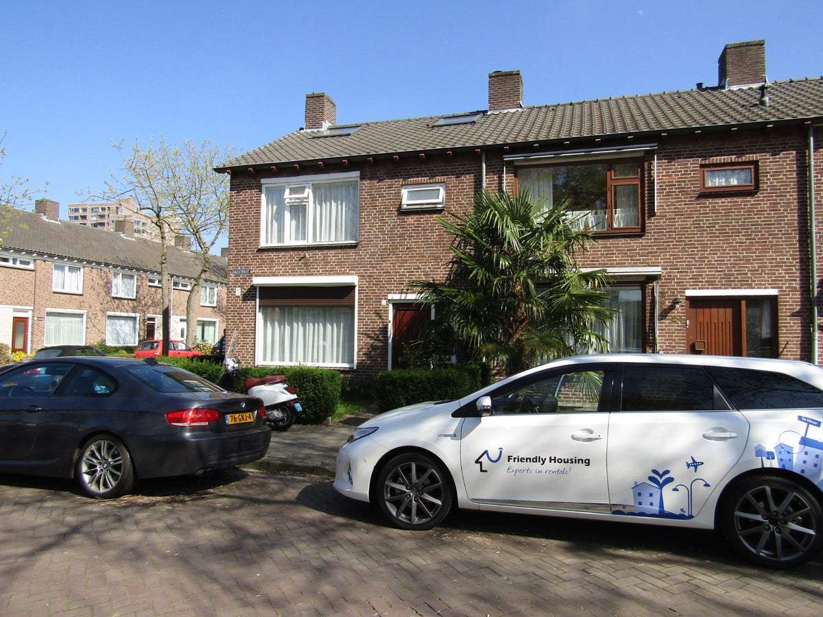 Afbeelding 1 van 8