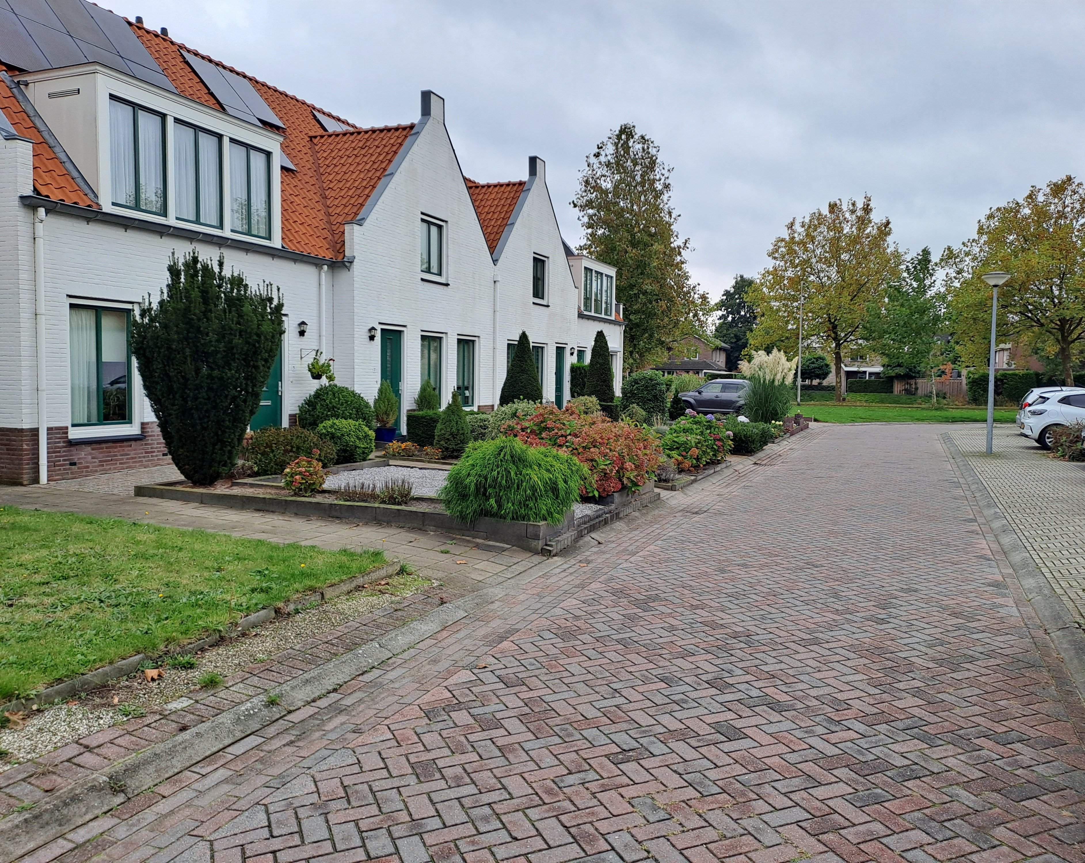 Afbeelding 1 van 3
