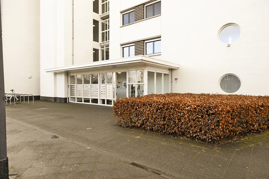 Bild 4 von 11
