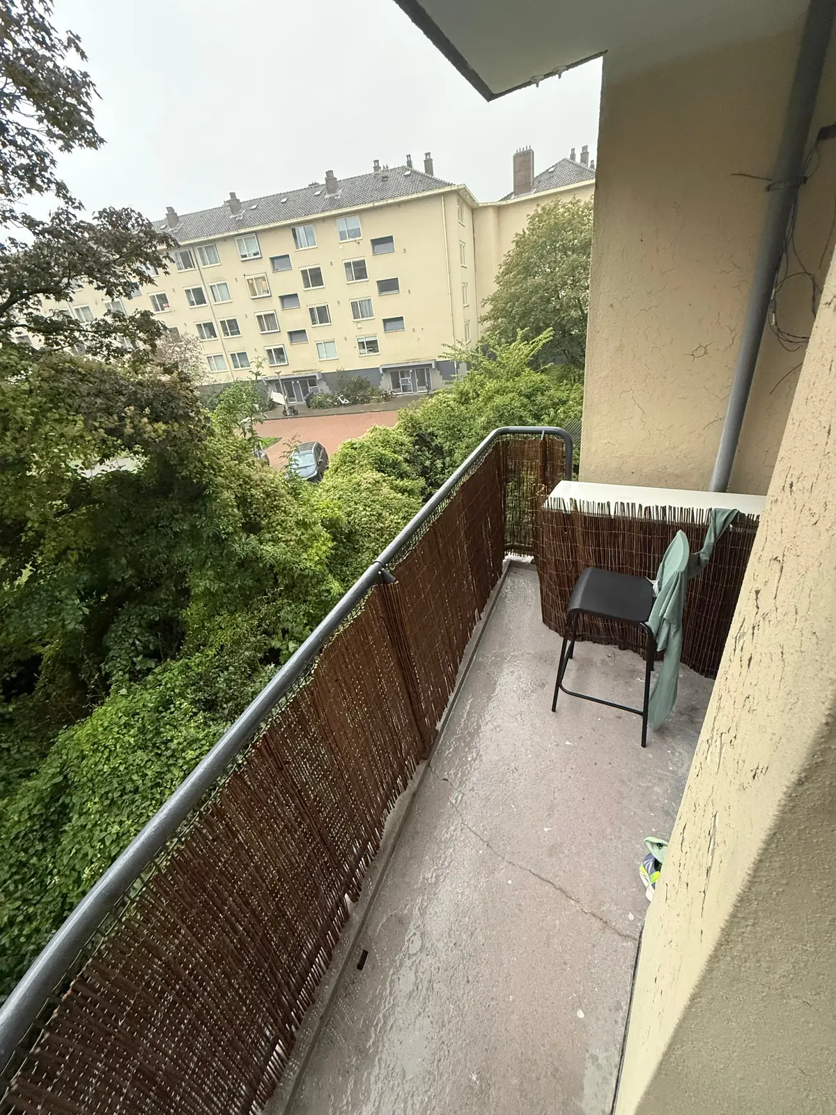 Image 8 of 8