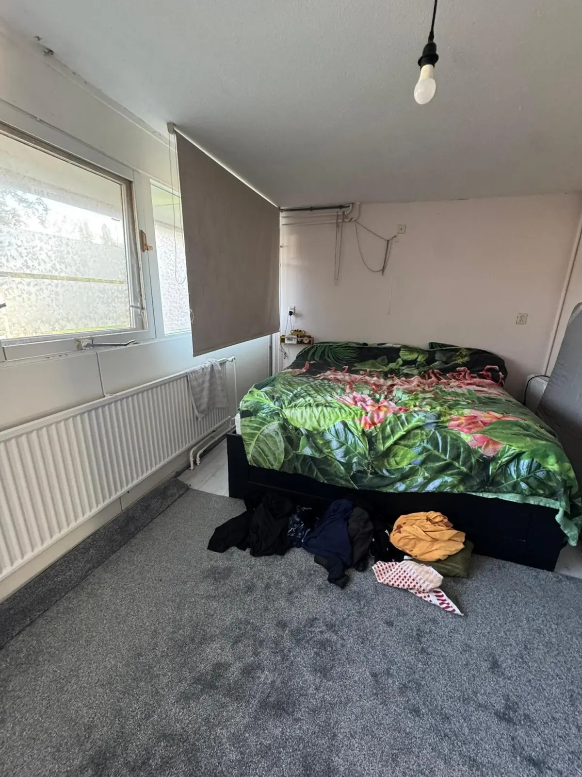 Image 6 of 12