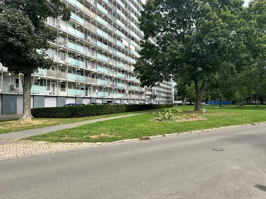 Afbeelding 1 van 21