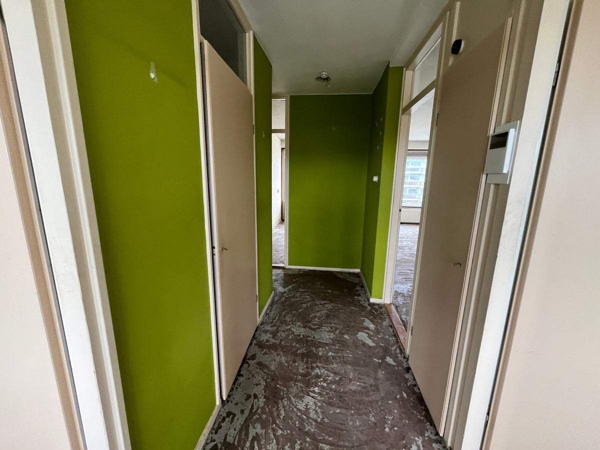 Image 3 of 8