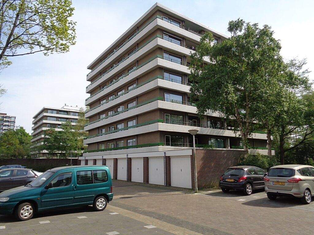 Afbeelding 1 van 8