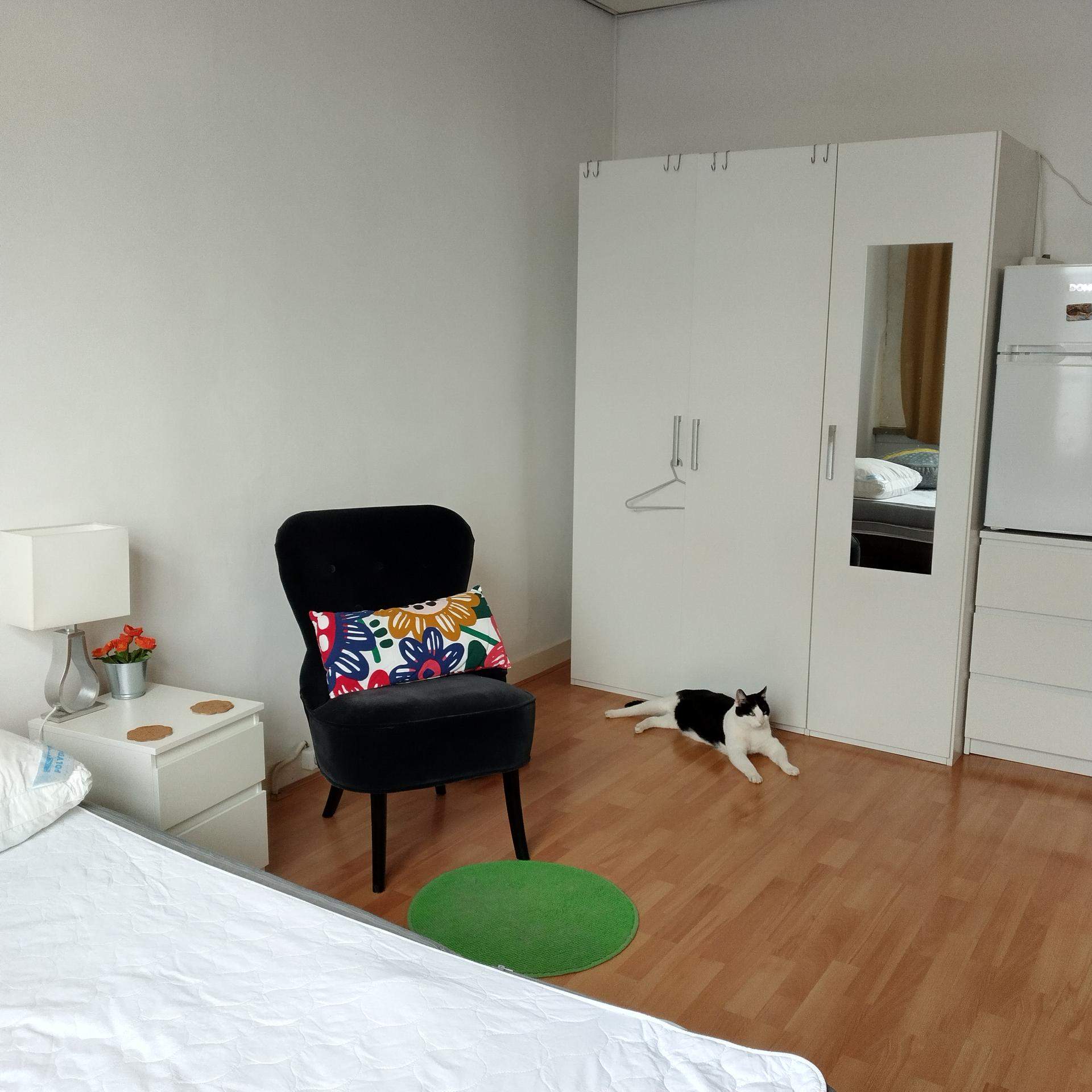 Bild 2 von 4