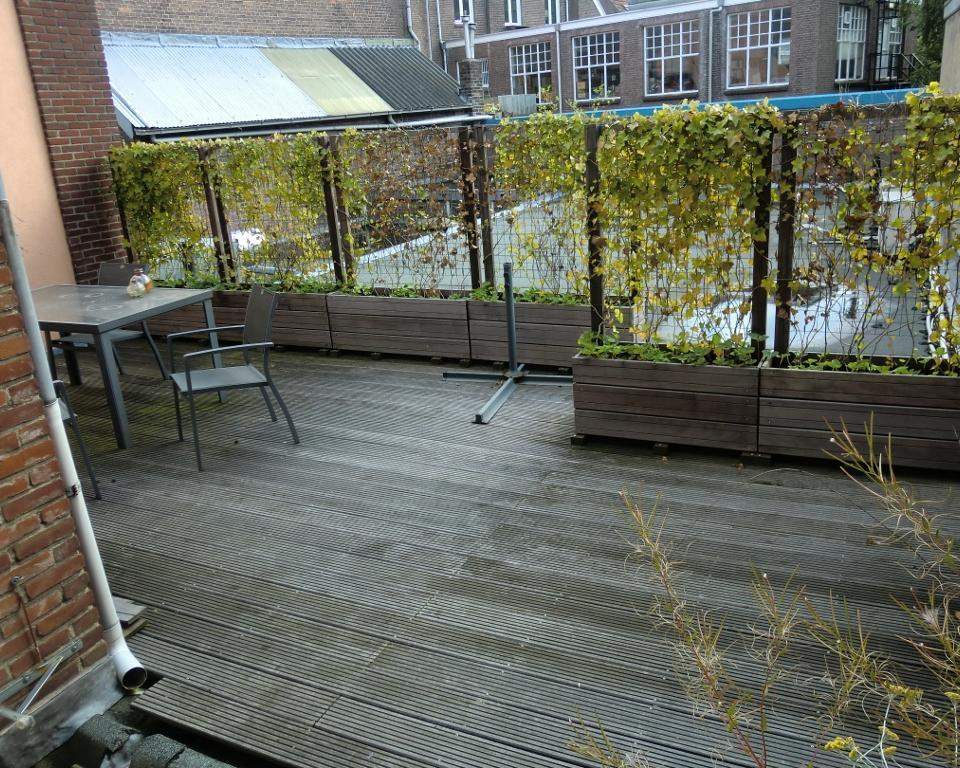 Image 3 of 10