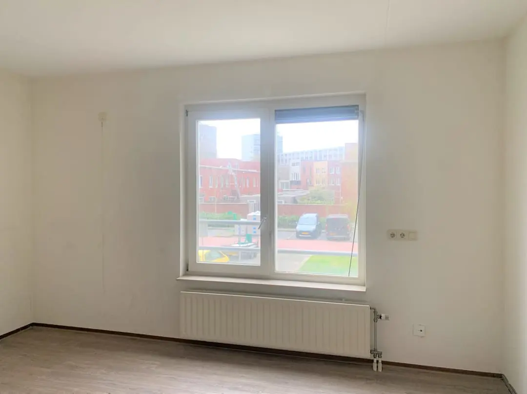 Image 13 of 21