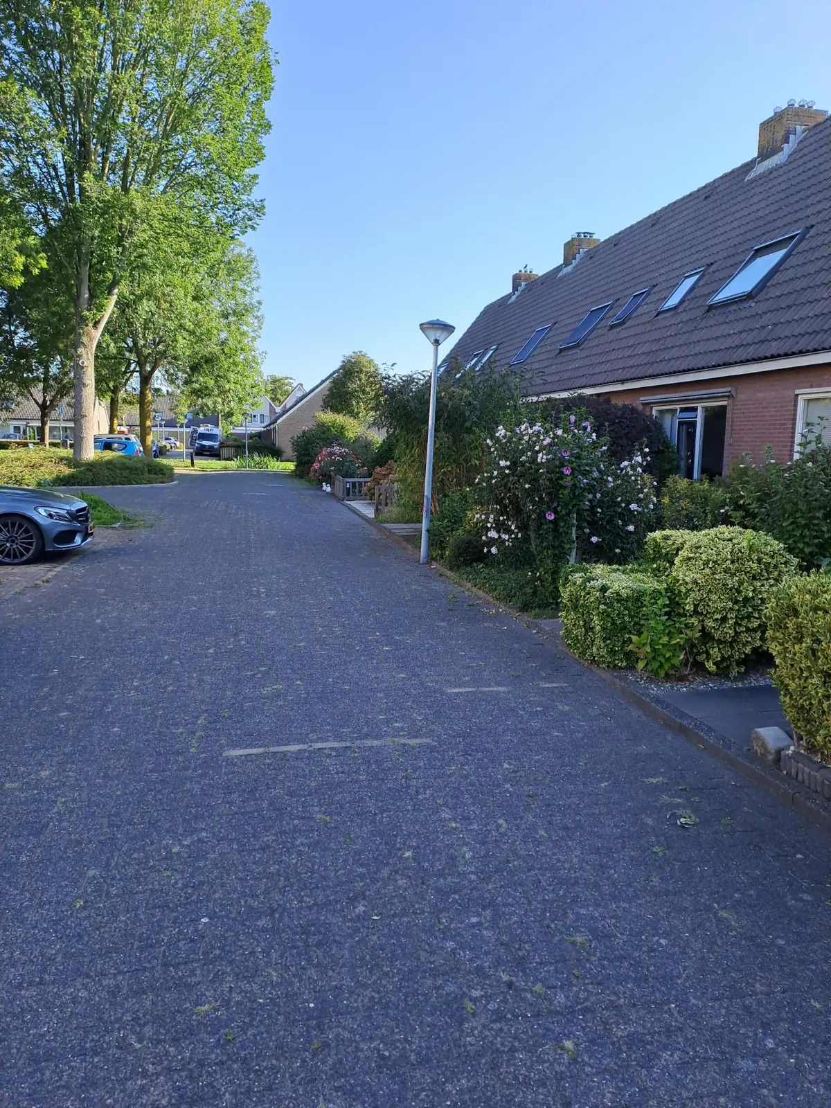 Bild 4 von 9