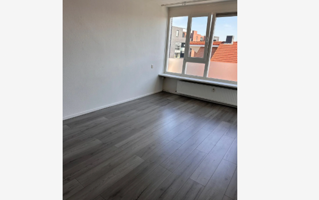 Image 1 of 8