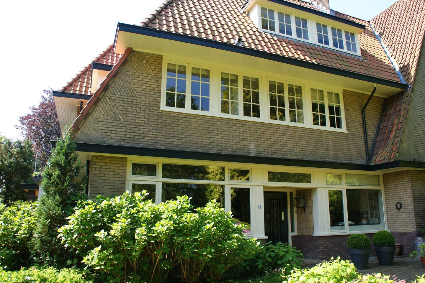 Image 2 of 12