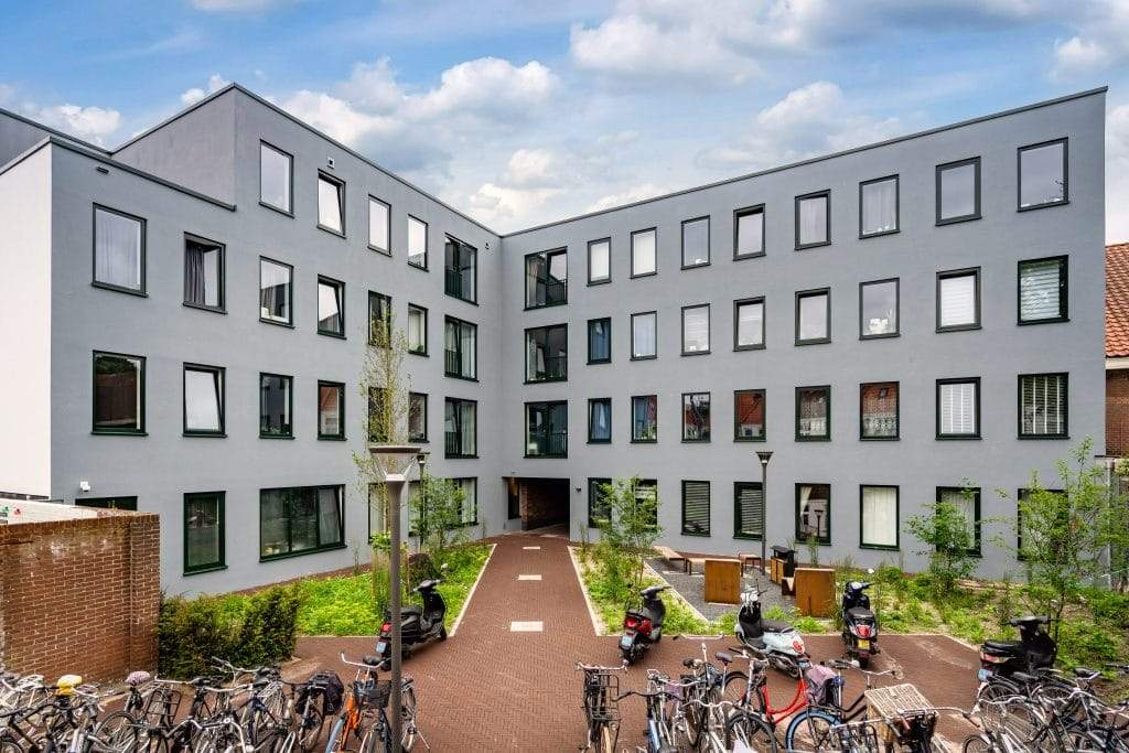 Afbeelding 4 van 11