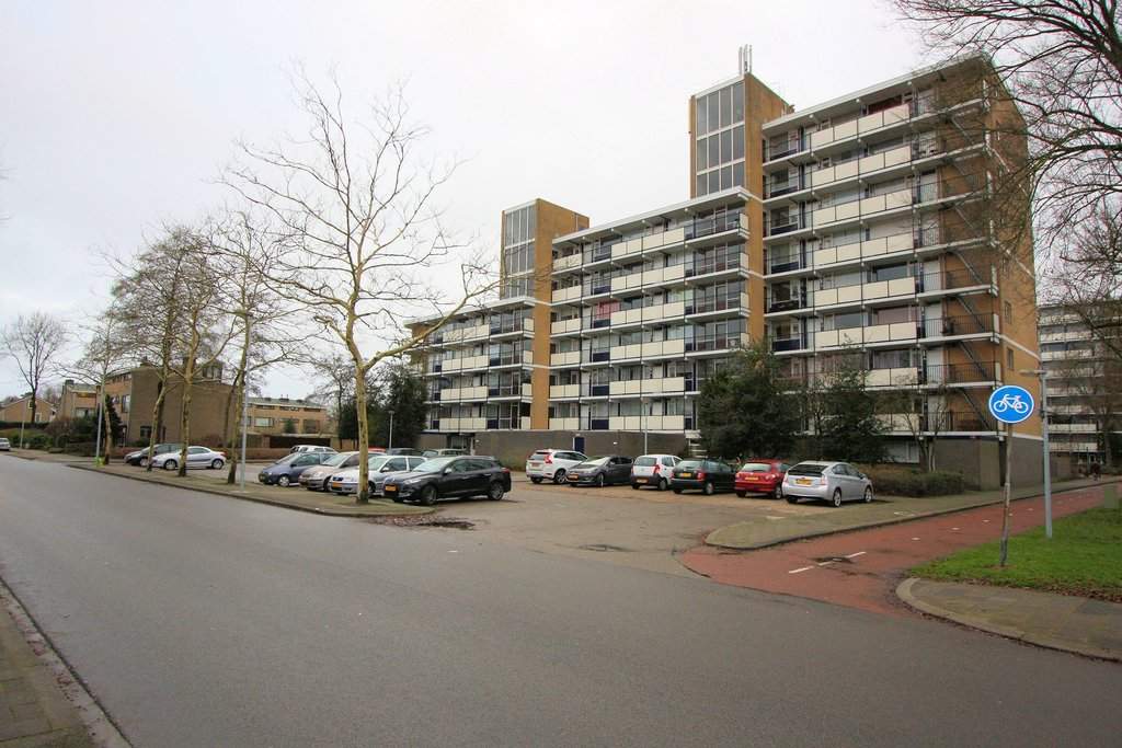 Afbeelding 1 van 12