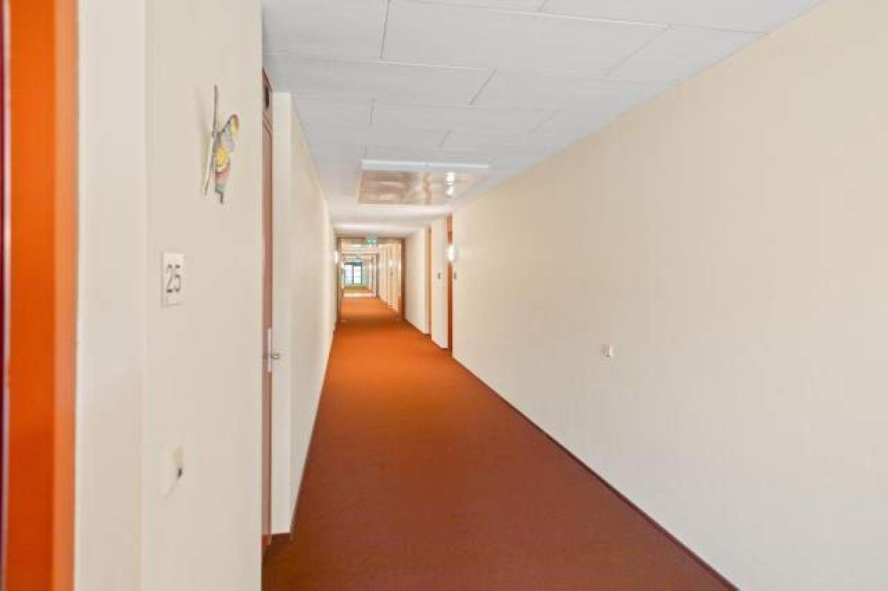 Image 6 of 9