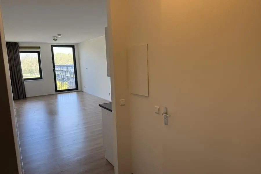 Image 6 of 20