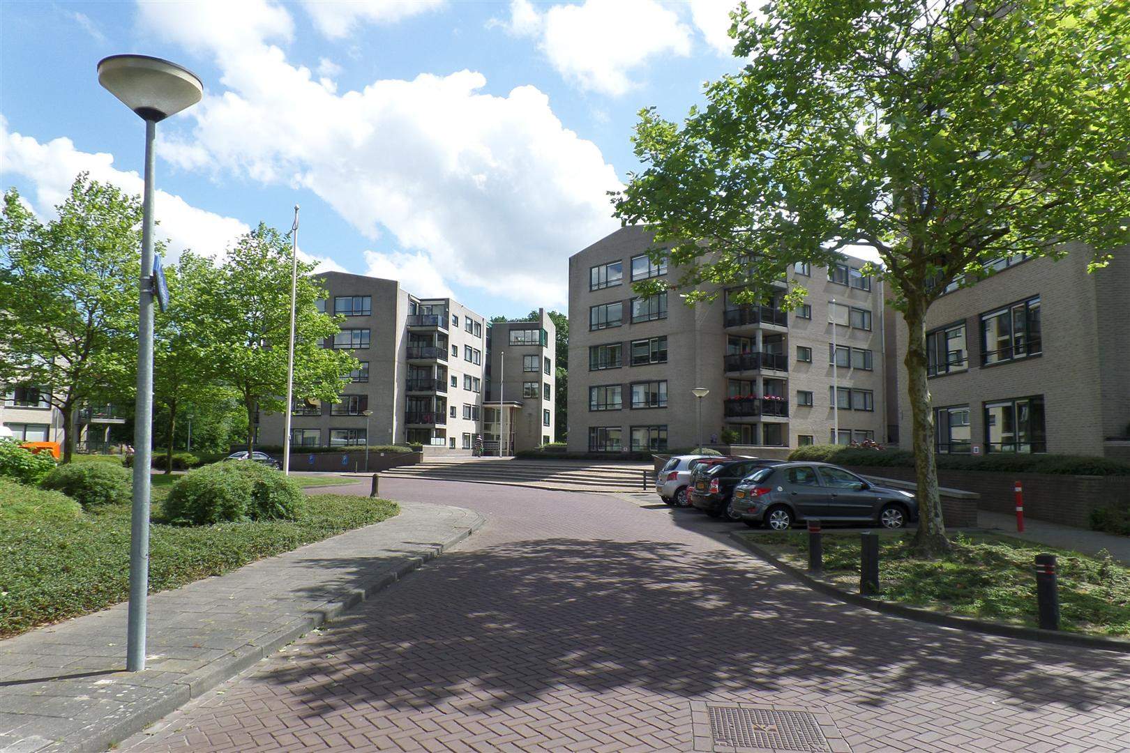 Afbeelding 1 van 36