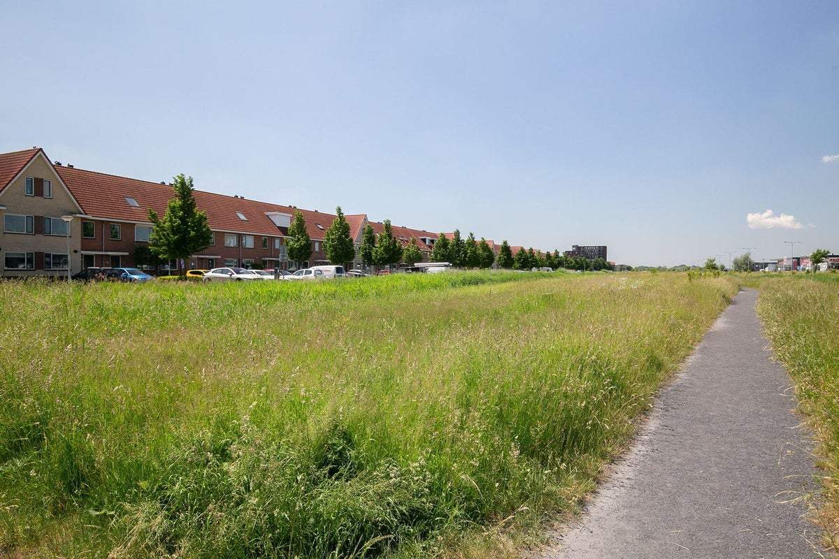 Bild 3 von 41