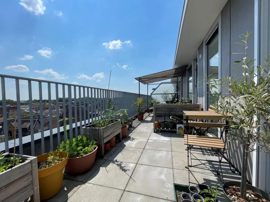 Image 13 of 20