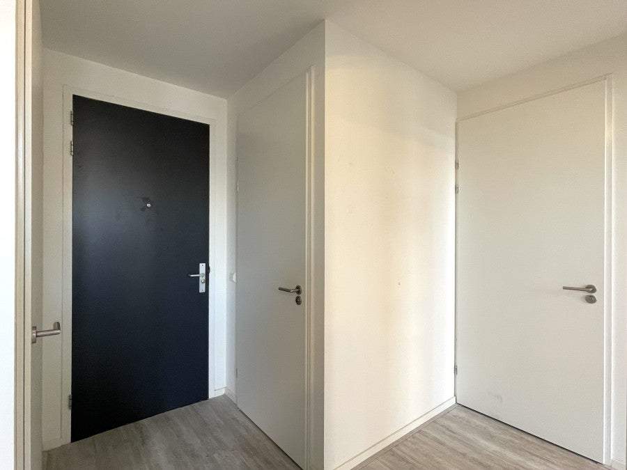 Bild 2 von 14