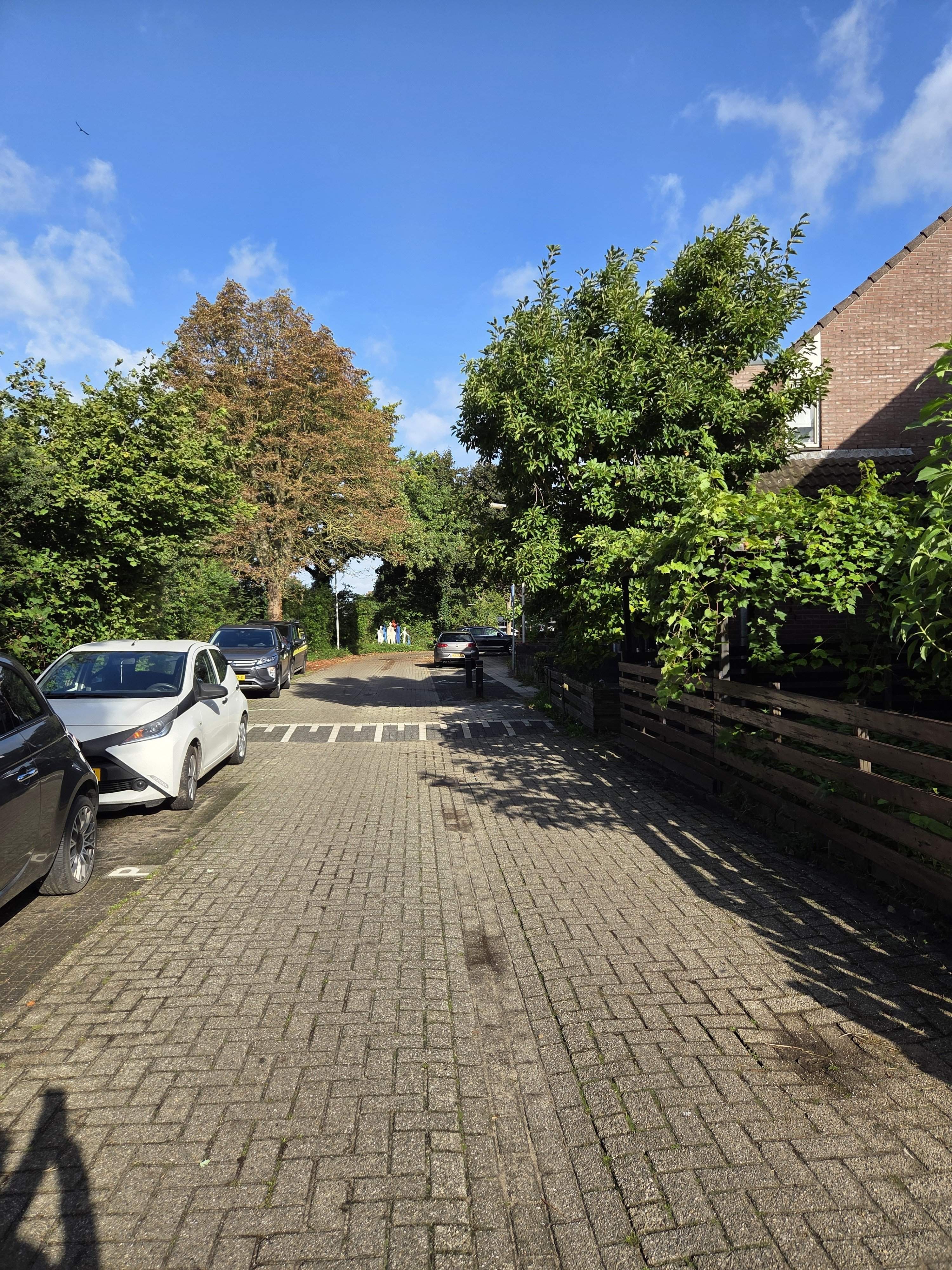 Afbeelding 2 van 21