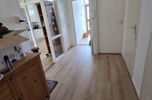 Image 3 sur 12