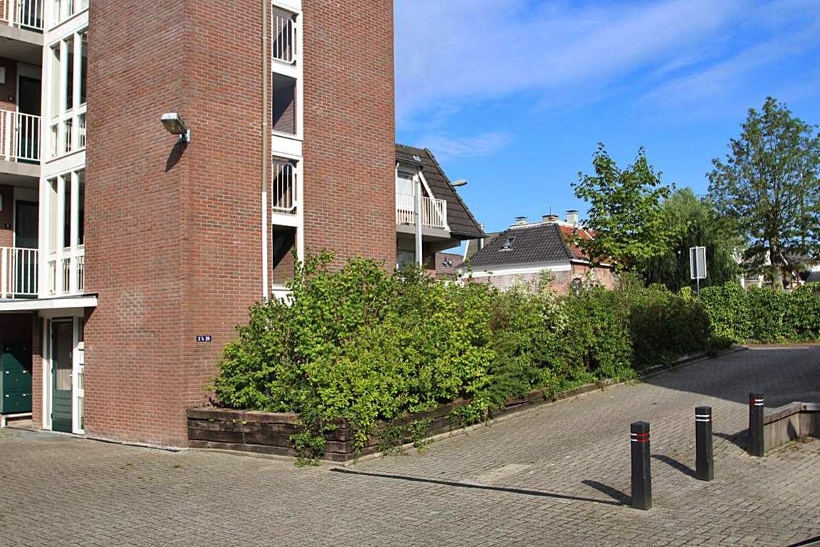 Afbeelding 2 van 17