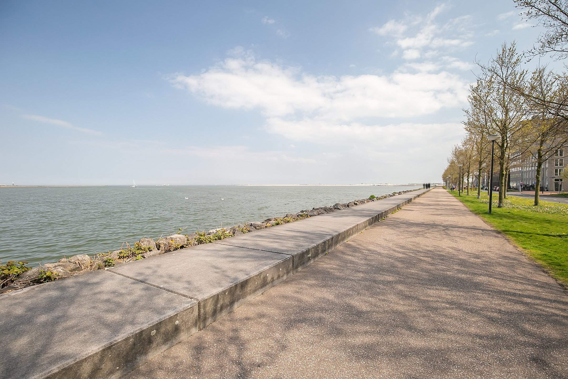 Image 15 of 17