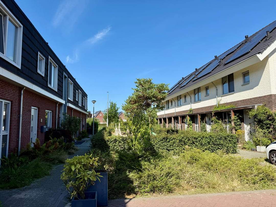 Image 22 of 23