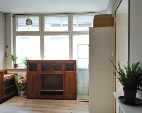 Estudio amueblado en Westwagenstraat, Gorinchem - En alquiler