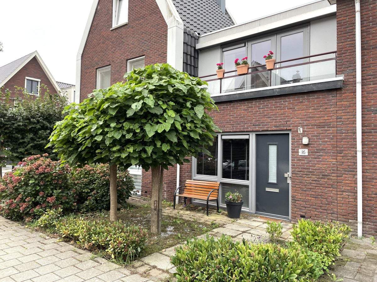 Afbeelding 1 van 36
