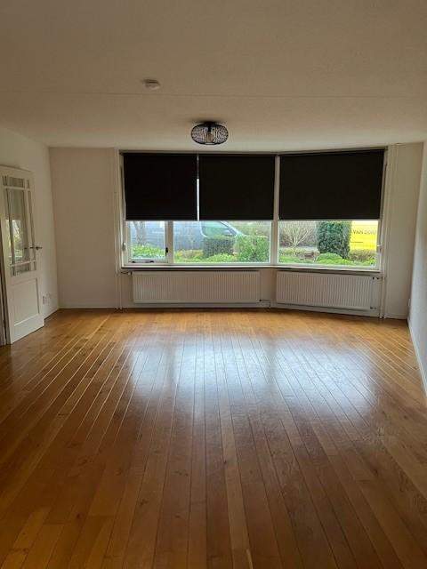 Image 2 of 13