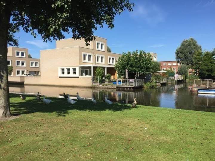 Afbeelding 1 van 8