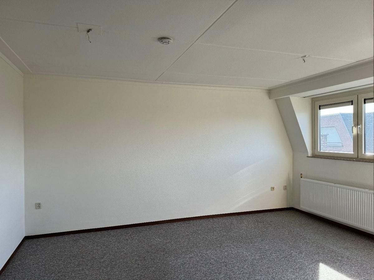 Bild 3 von 15
