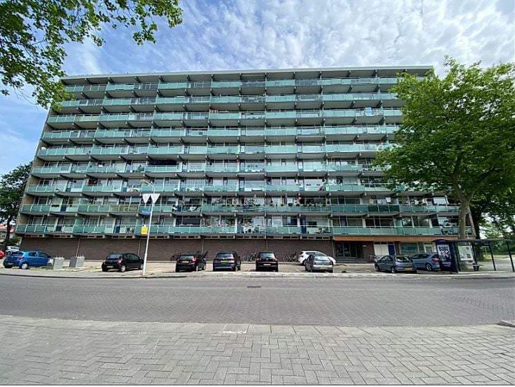 Afbeelding 1 van 12