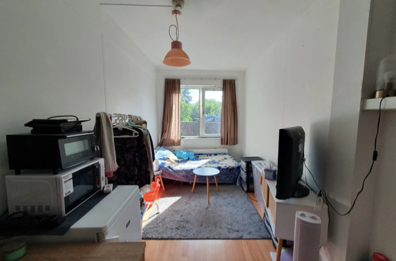 Bild 3 von 3