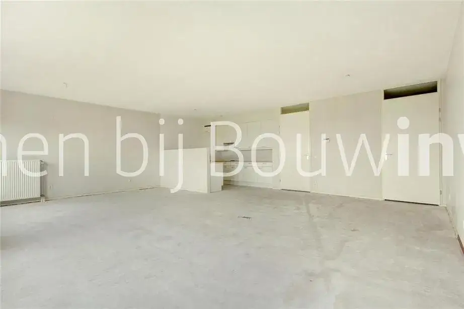 Bild 6 von 12