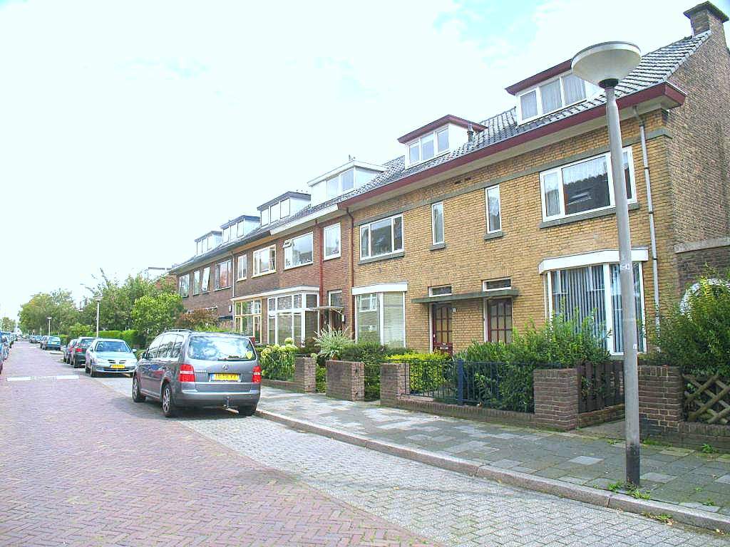 Afbeelding 3 van 33