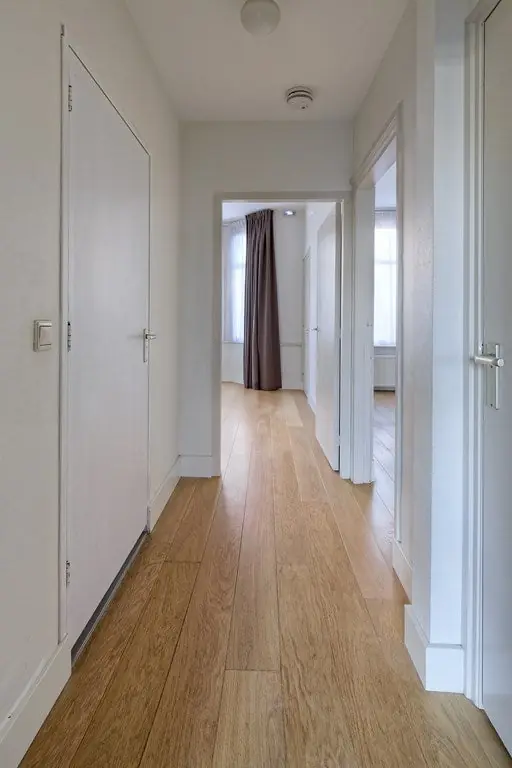 Image 12 of 24