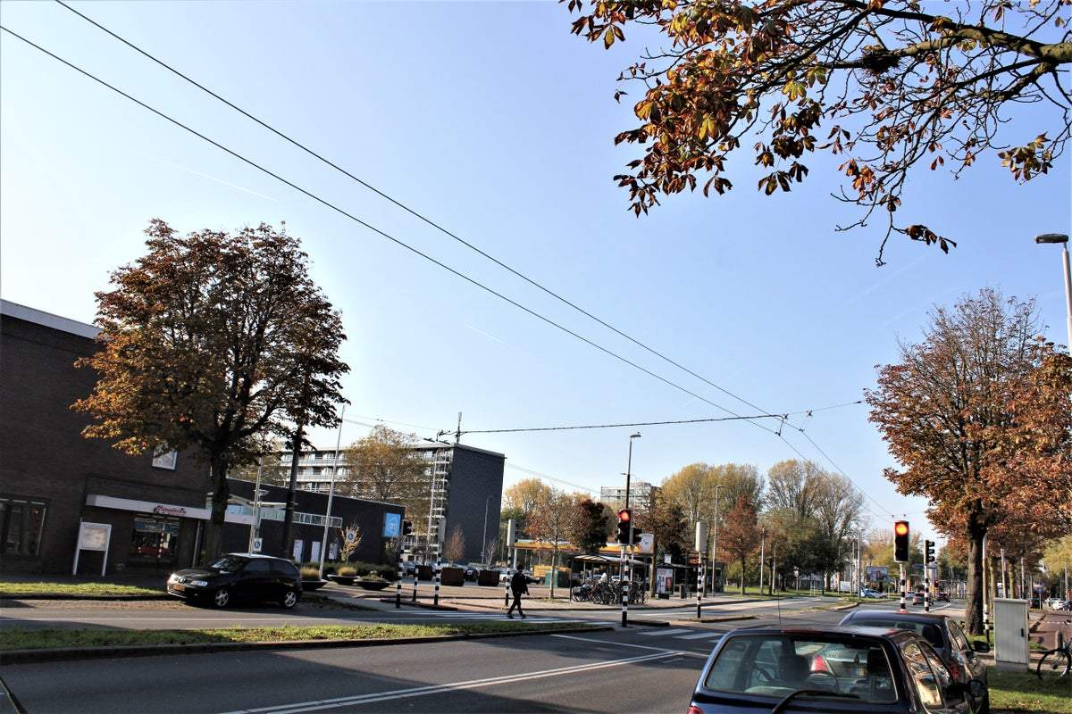 Afbeelding 3 van 20