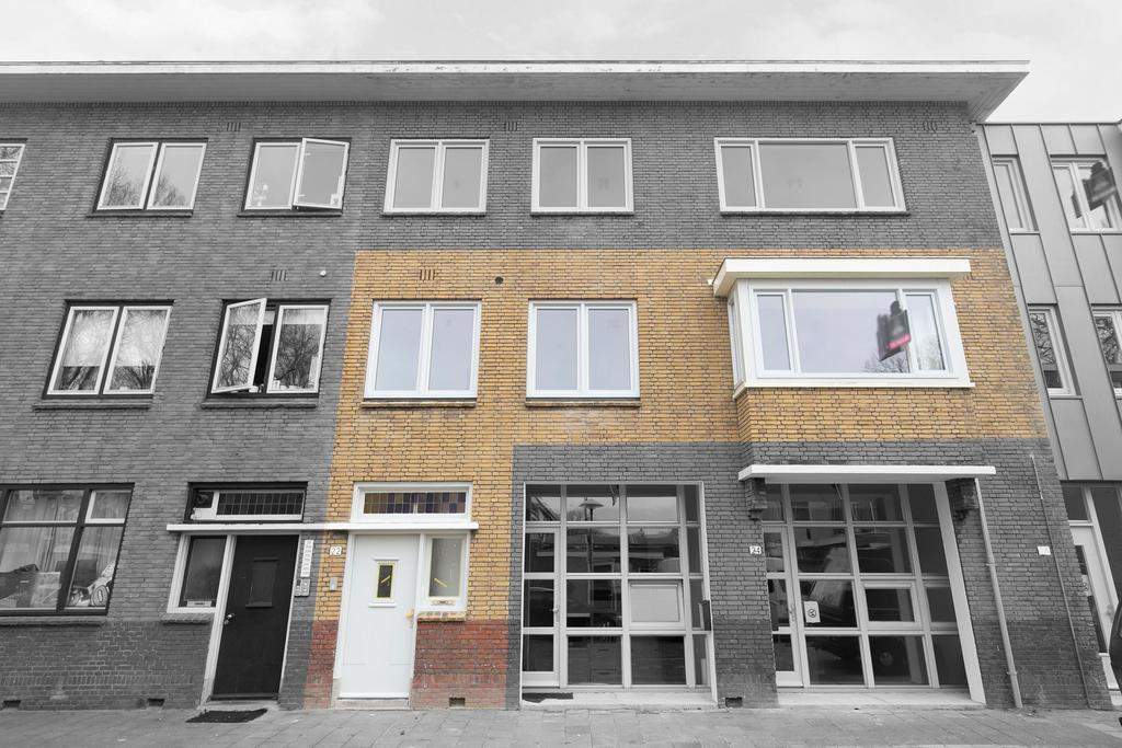 Afbeelding 1 van 41