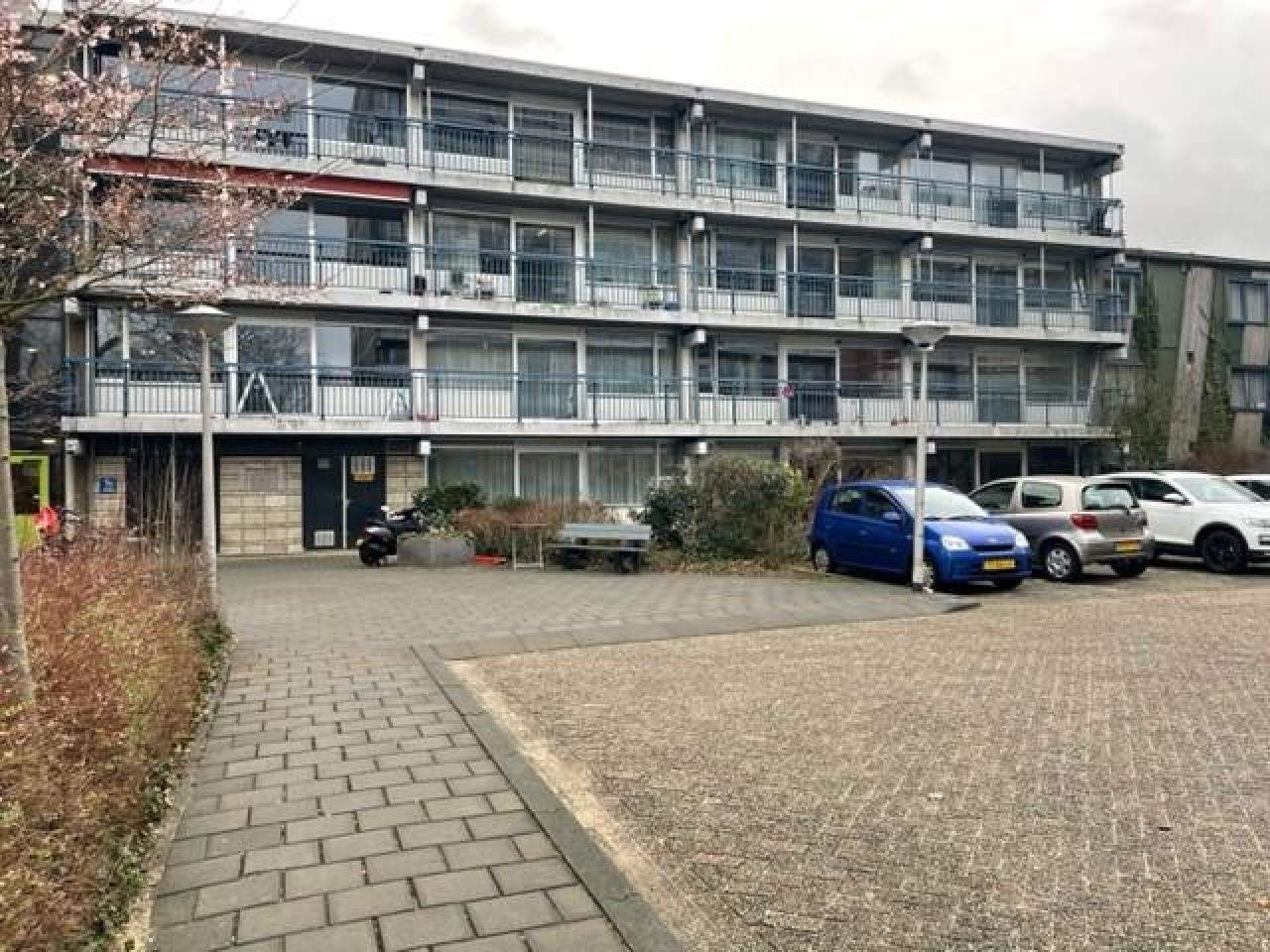 Image 2 of 9