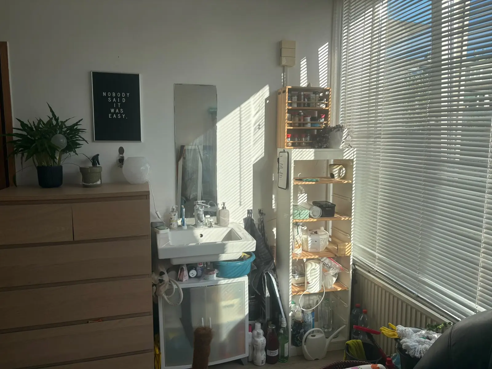 Image 6 of 10