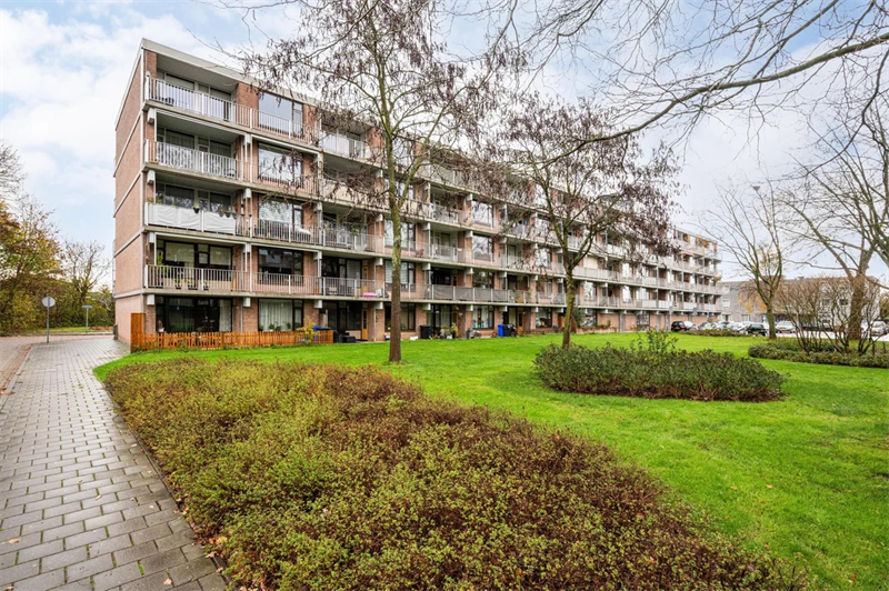 Image 24 of 25