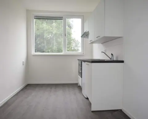 Habitación sin amueblar De Gealanden, Leeuwarden - En alquiler