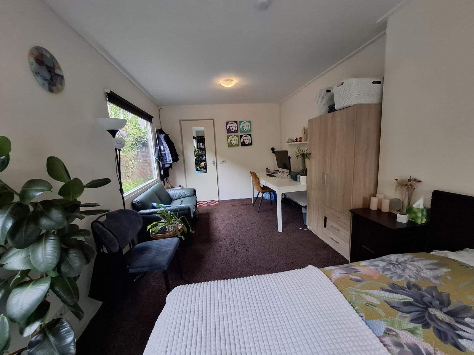 Bild 3 von 8