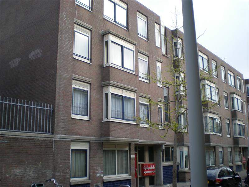Afbeelding 1 van 24