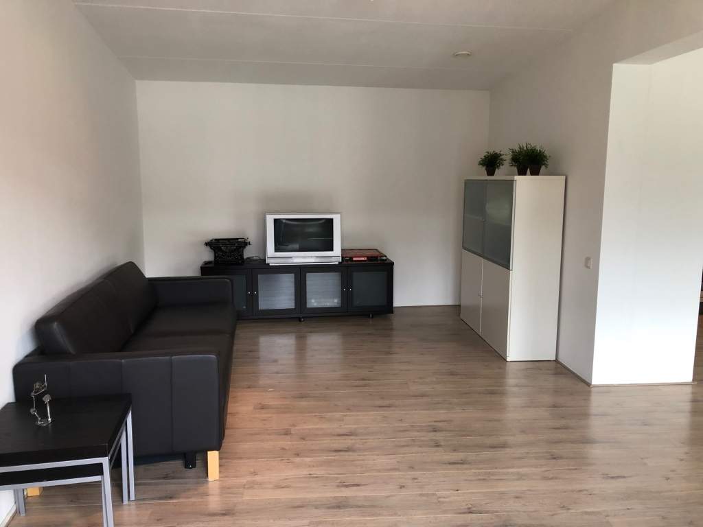Image 2 of 19