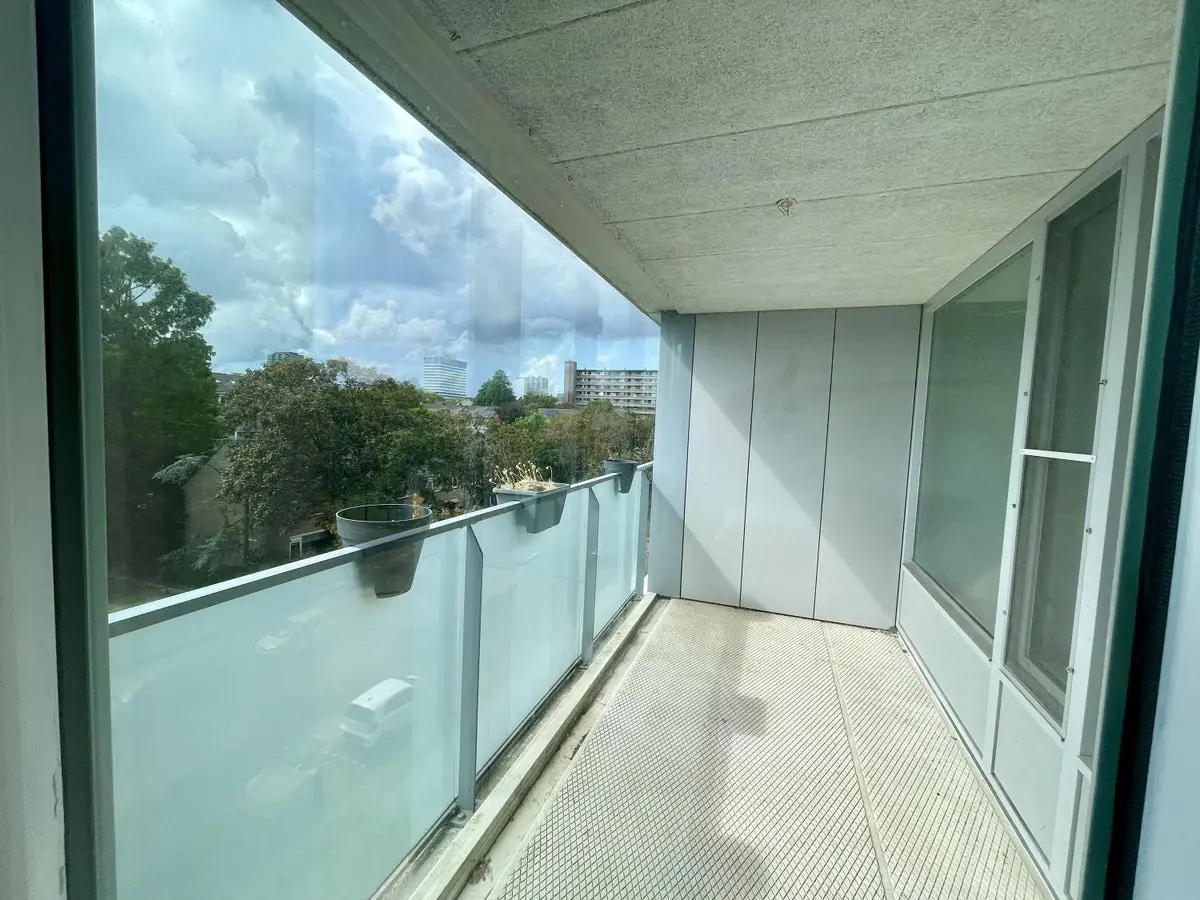 Image 4 of 9
